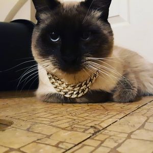 Meet your Posher, Robert